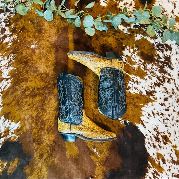 Dan Post Other - Dan Post Brown/Black Key West Python Cowboy Boots
